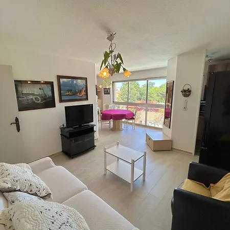 T2 Avec Piscine Et Garage Au Centre-plage D'argeles-sur-mer - Fr-1-388-212 滨海阿热莱斯